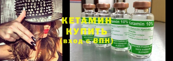 шишки Арсеньев