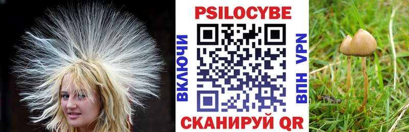 наркошоп  Нурлат  Галлюциногенные грибы ЛСД 